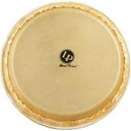 Drum Workshop Latin Percussion  11 Replacement Head Quinto Z Series LA93198